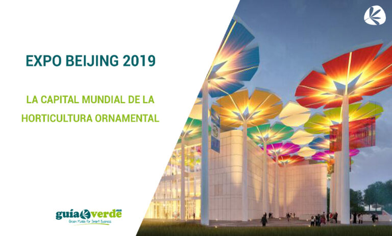 notivia_06062019095245