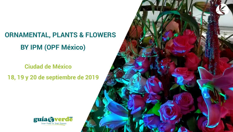 opf_mexico_by_ipm_01082019111235