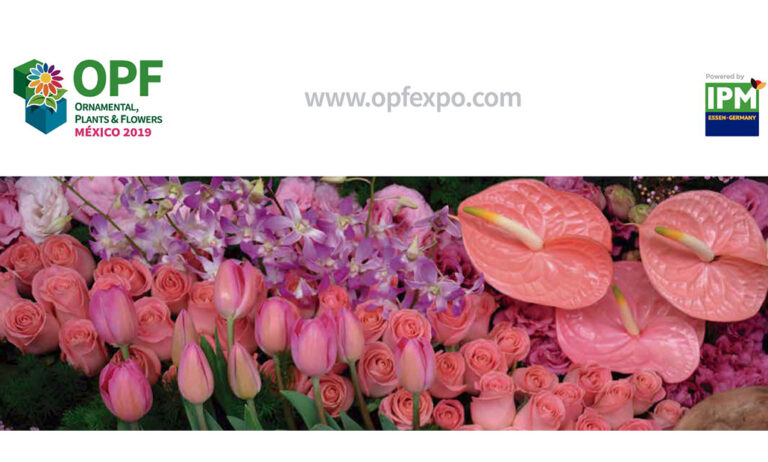 opf_mexico_by_ipm_18092019080913