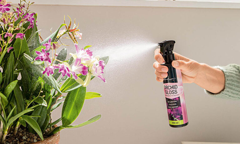 orchid_gloss_250_ml_05072022141223