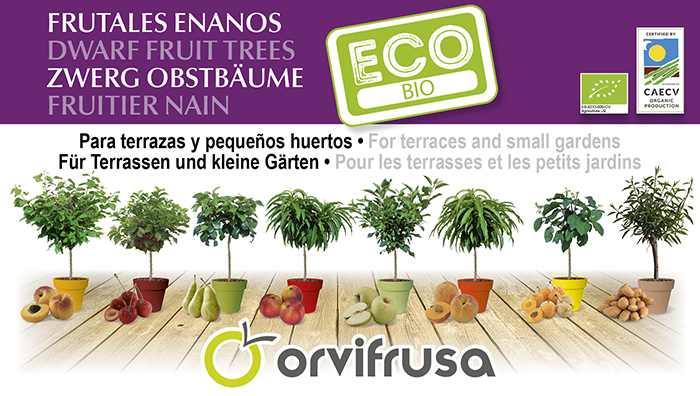 orvifrusa_28042020134746