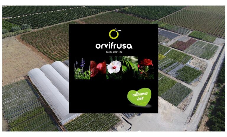orvifrusa_catalogo_22102021130803