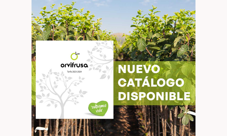 orvifrusacatalogo_13092023095601
