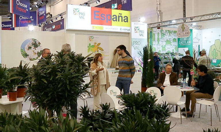 pabellonespanaipm_14012025122421