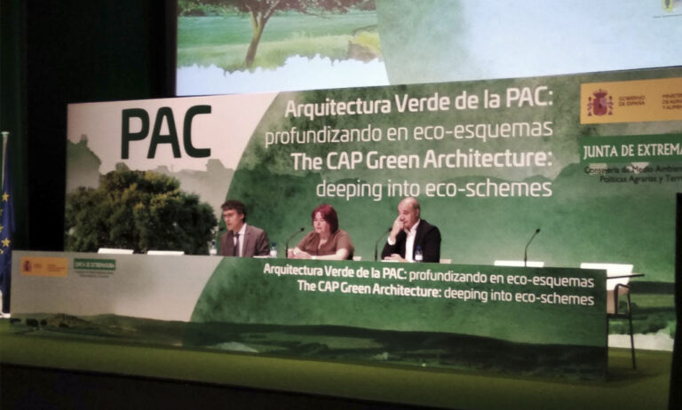 pac_04062019083848
