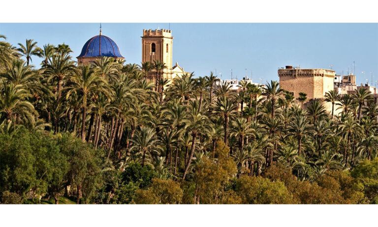 palmeral-elche-ley-proteccion_10012020090618