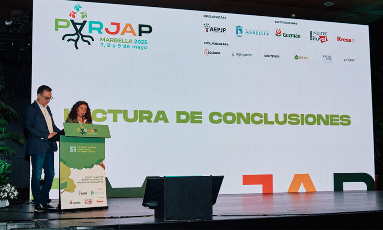 parjap-conclusiones_14052025093829