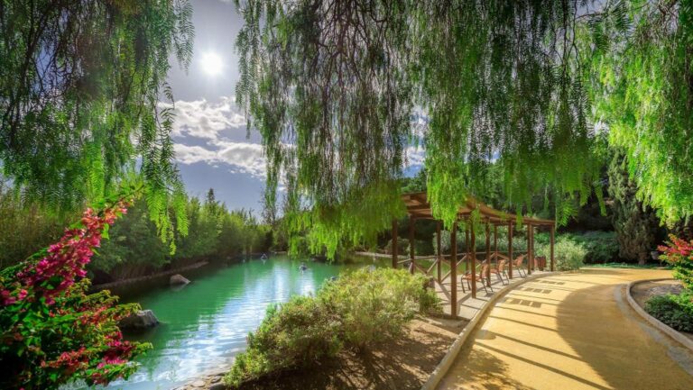 parque-arroyo-de-la-represa-by-charly-simon-marbella_09072020065514