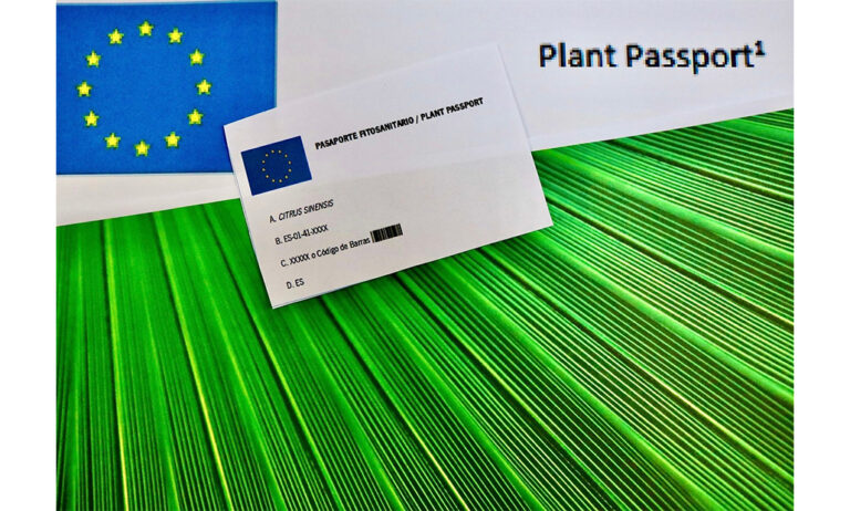 pasaporte_26122019074011