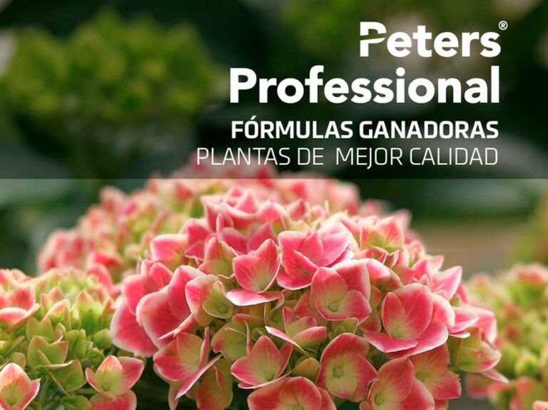 peters_professional_icl_27032025091325
