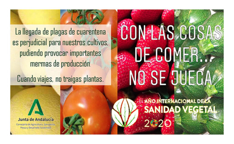 plagas_vegetales_andalucia_24082020094334
