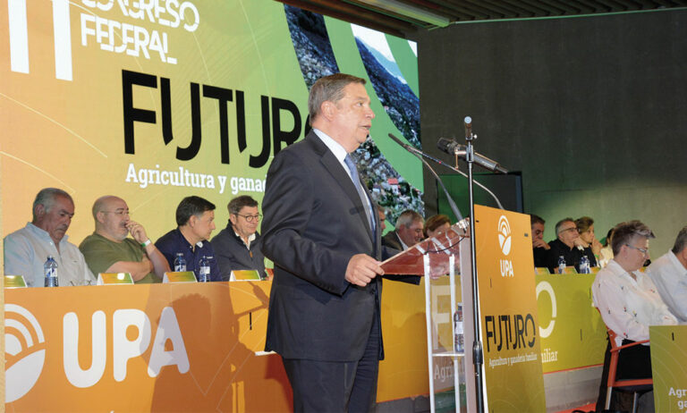 planasupa_20022025091211