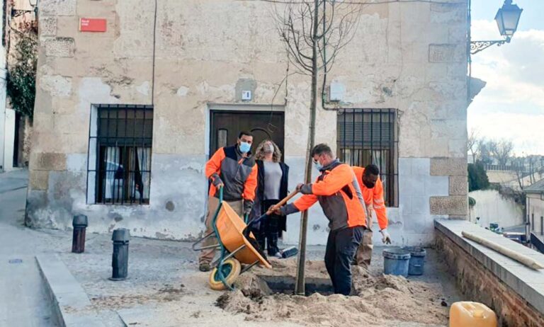 plantacion_toledo_04022022111859