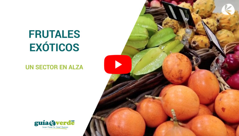 plantilla_miniatura_videonoticias_gv_10052019064640
