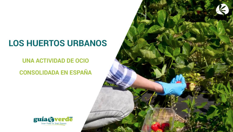 plantilla_miniatura_videonoticias_gv_huertos_18042019082141