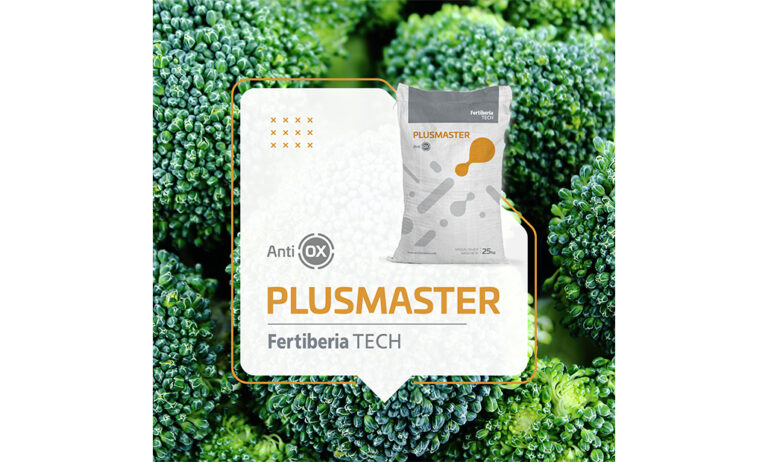plusmaster2_17092020075105