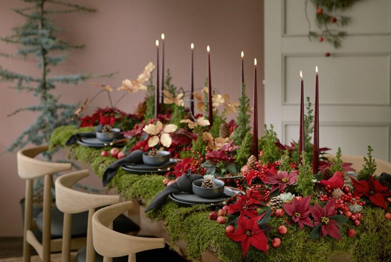 poinsettias_starsforeurope_03122021103100
