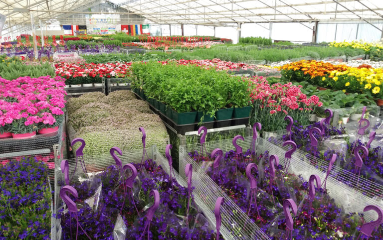 poleplants-2_29092022094908