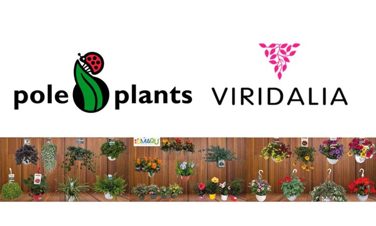 poleplants_02062022131305