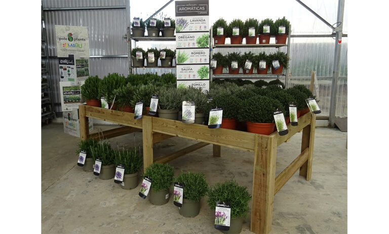 poleplants_aromaticas_16052024082937