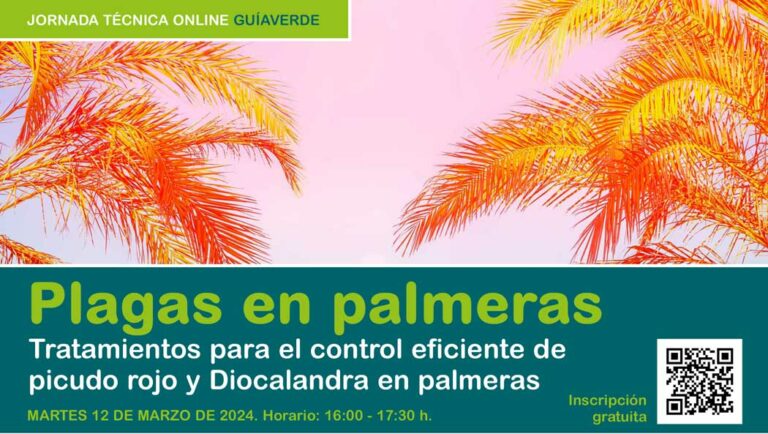 portada-tratamientos-picudo-diocalandra-palmeras_26022024083053