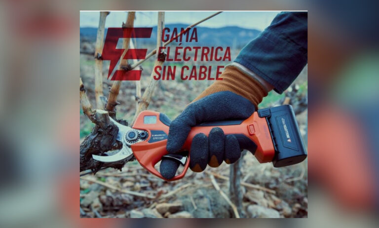 portada1b_14122021093717