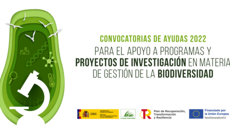 portada_03082022121337