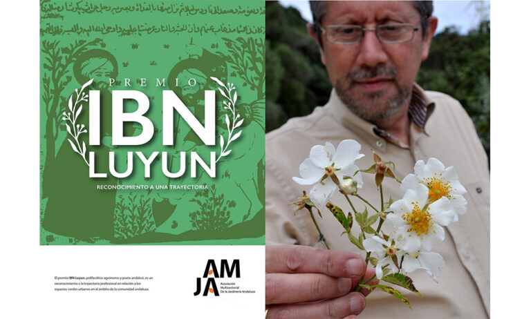 premioibnluyun_25012023164146
