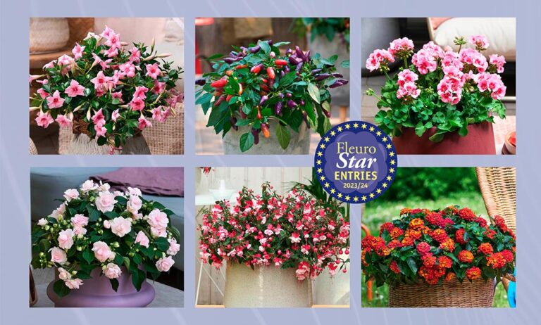 premios_fleurostar_30052023162738