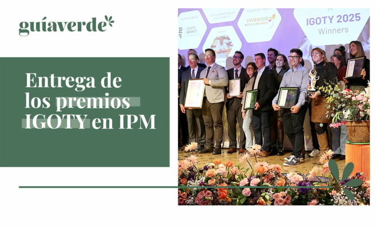 premiosigoty2025gv_06022025123019