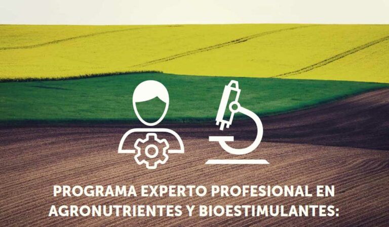programa-experto_27052022085803