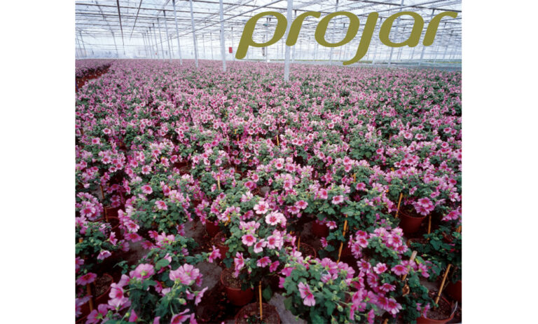projar_22012020145410
