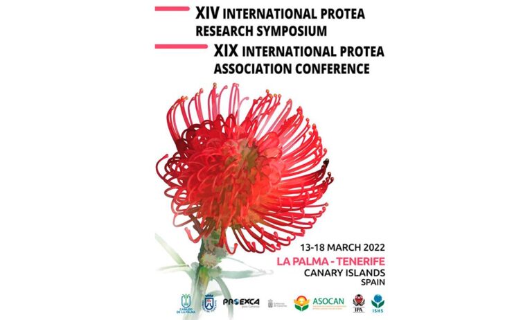 proteas_14032022102047