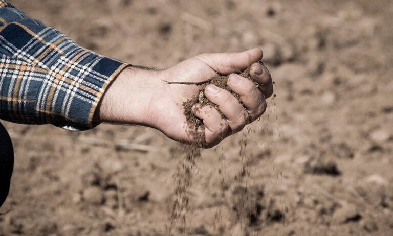 proyecto-tierras-agricultores_05032020140757