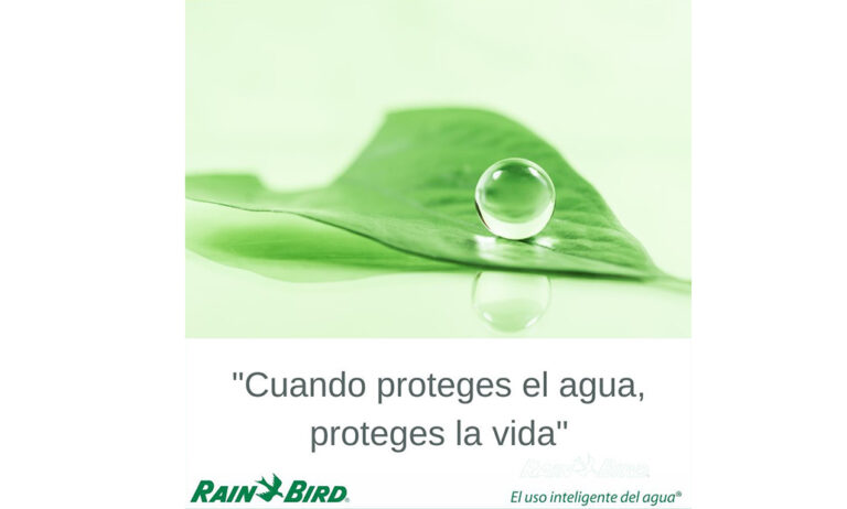 rain_bird_10012023102826