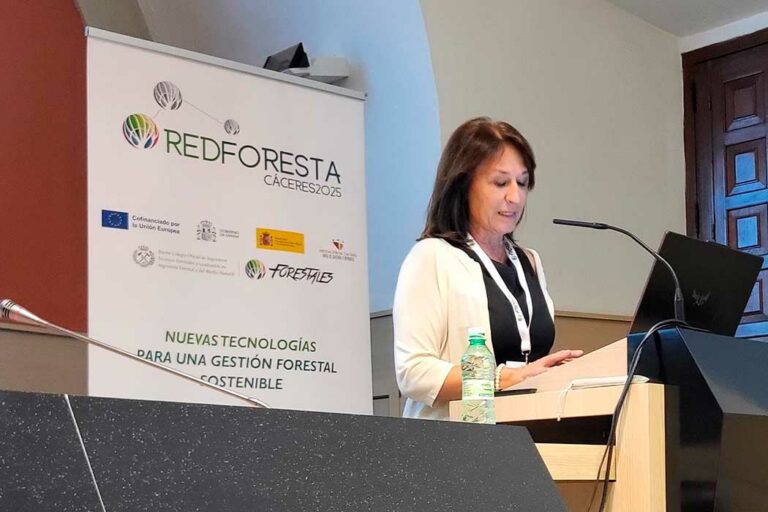 redforesta_2025_16062025133120