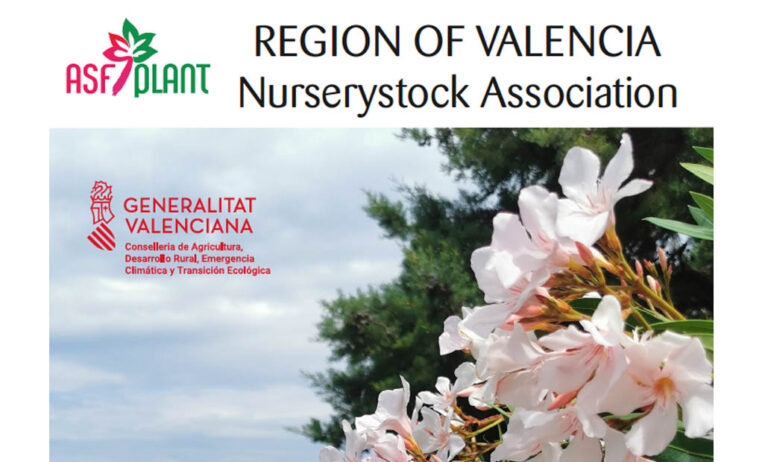region_of_valencia_11012023162323