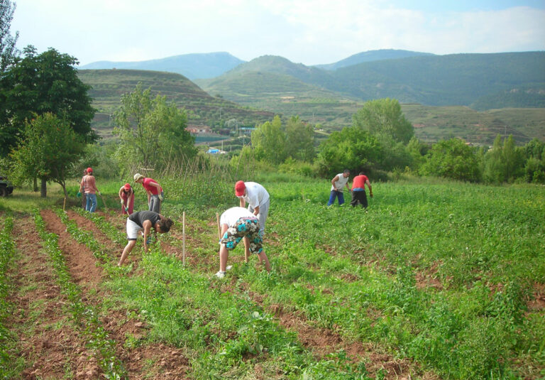 renta-agraria_26122022102310