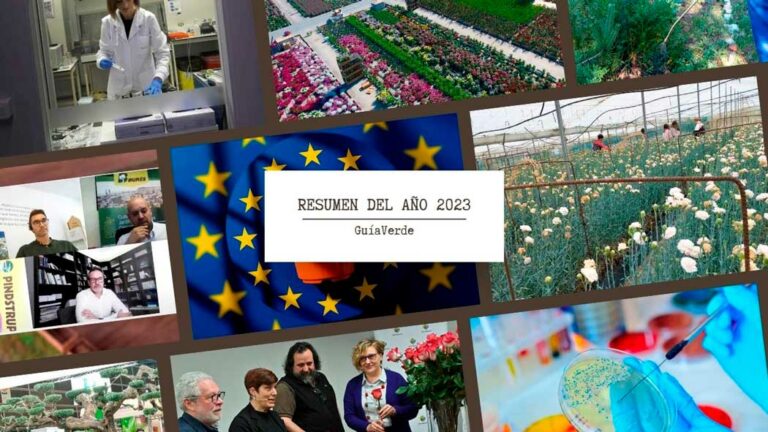 resumen-2023_26122023112315