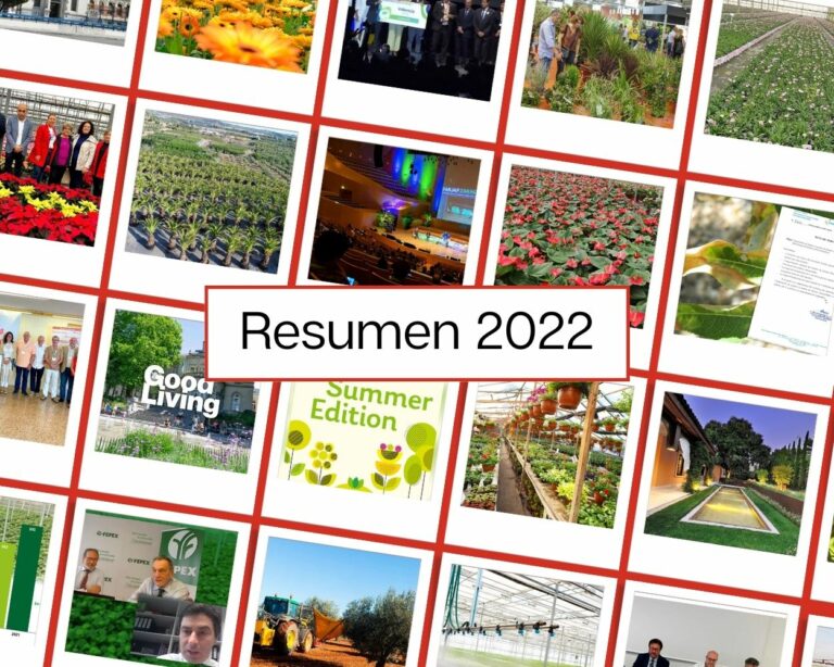 resumen2022_28122022120529