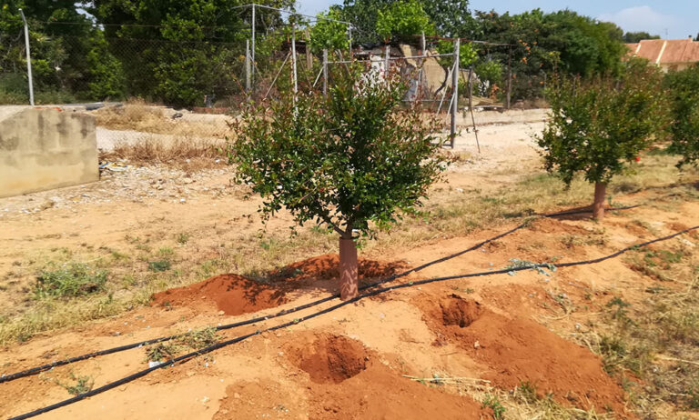 retenedor_agua_05042023143607