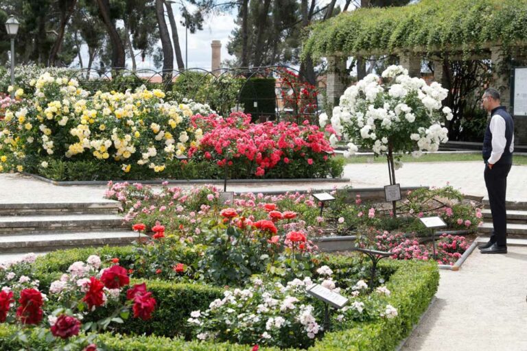rosaleda-del-parque-del-oeste_20052024094327