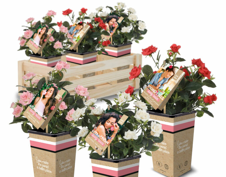 rosales_loulou_caja_2b_17032023100057