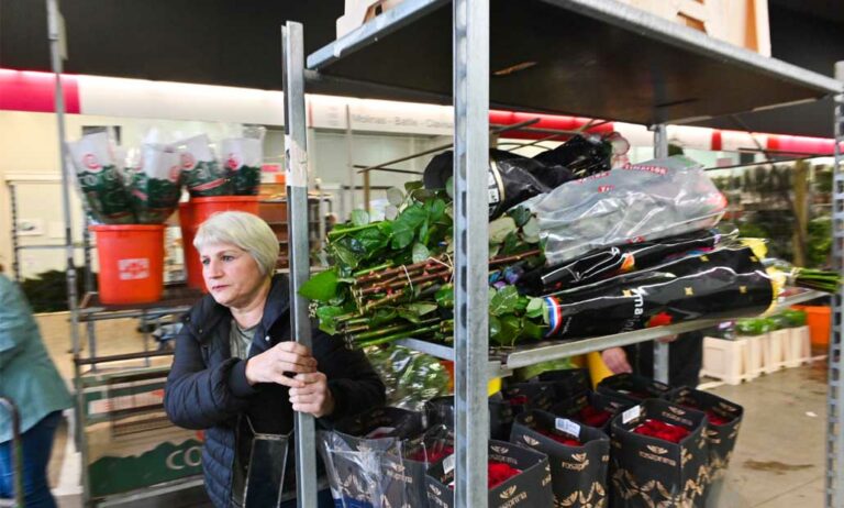rosas_sant_jordi_2022_22042022111232