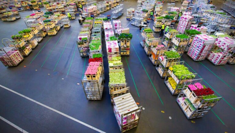 royal-floraholland-2019-portada_08062020110713