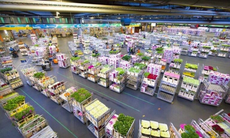 royalfloraholland_05042024101812
