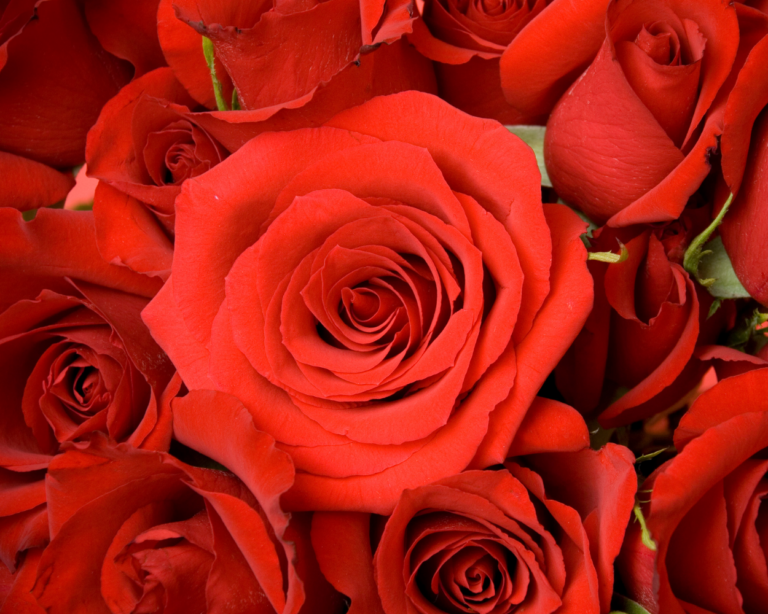 sanvalentin_10022023132442