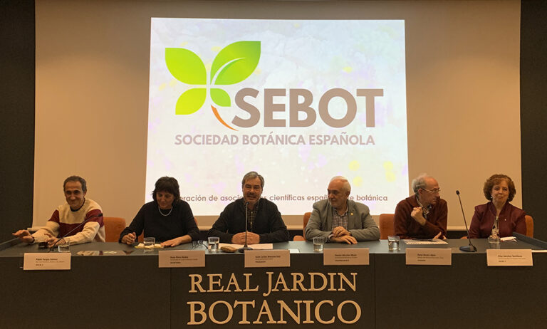 sebot_04122019162734