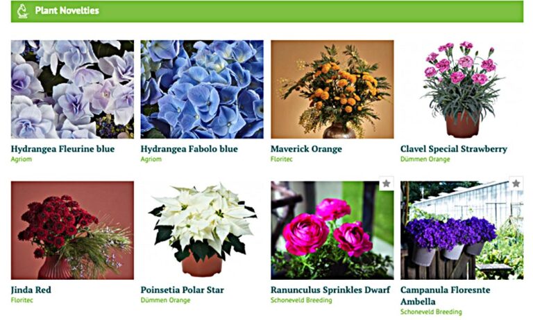 seccion_plant_novelties_guiaverde_04052023092250