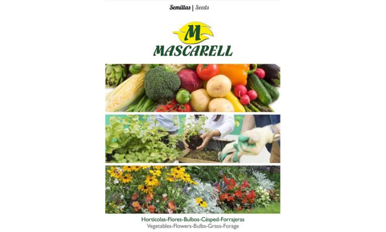 seed_mascarell_27092019083446